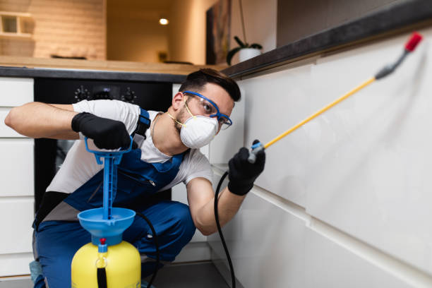 Best Exterminator Services  in Corydon, IA